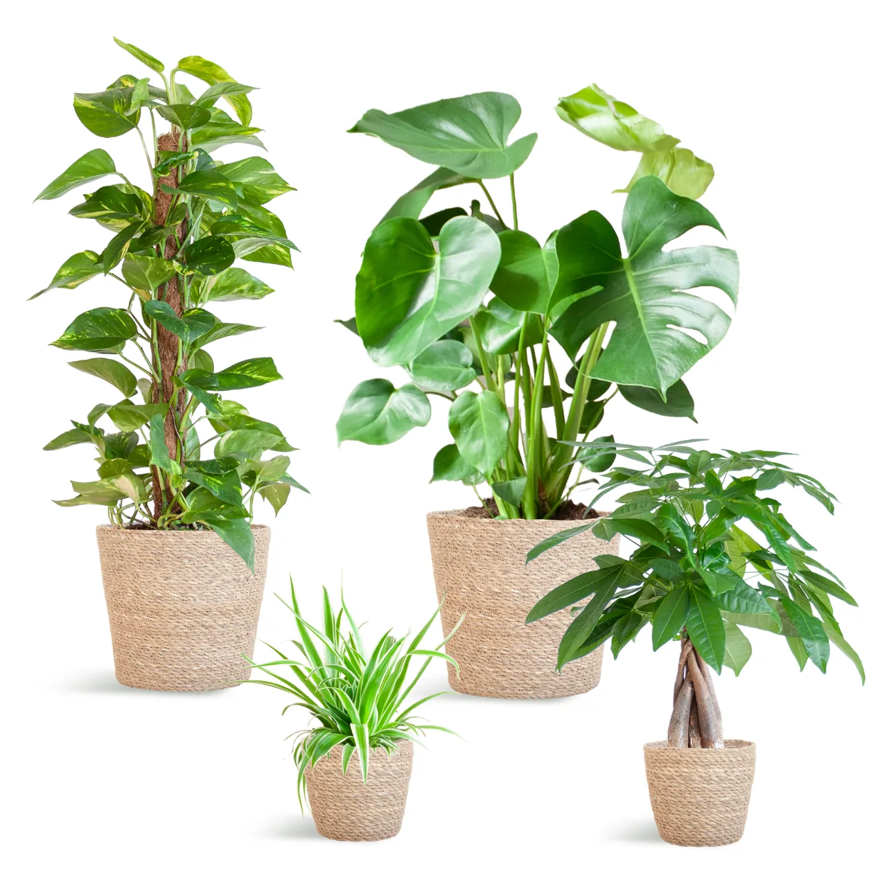 easycare_plantenbox_met_mand_sofia_medium_02