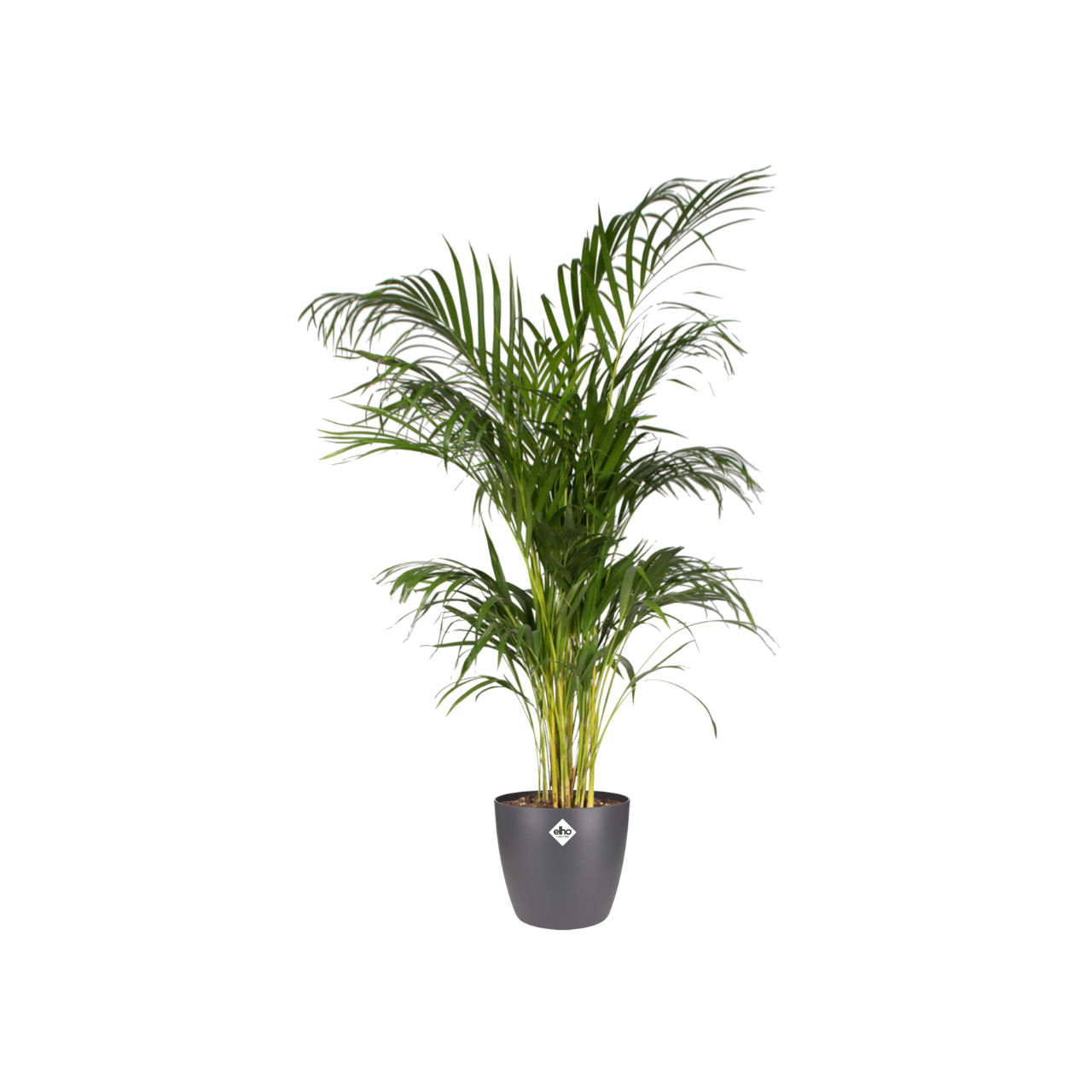 pot_elho_brussels_round_antraciet_d30_h27_02