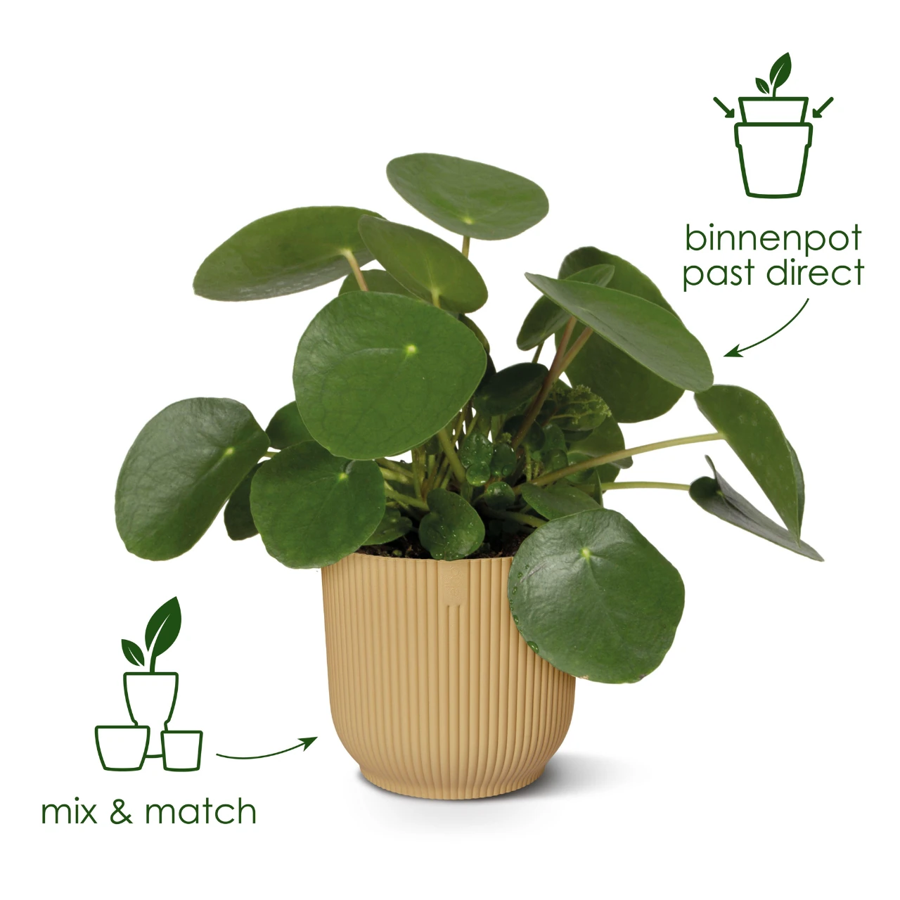 pot_elho_vibes_fold_rond_wit_d35_h33_04